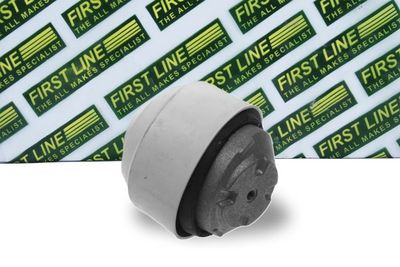 окачване, двигател FIRST LINE FEM3633