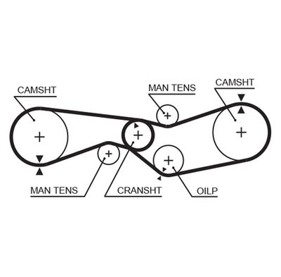 Timing Belt GATES 5012