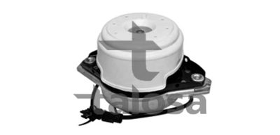 LAGERUNG MOTOR Talosa 6125451