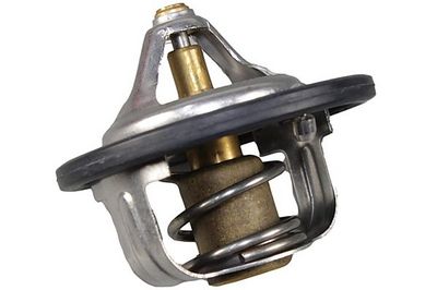 Thermostat, Kühlmittel