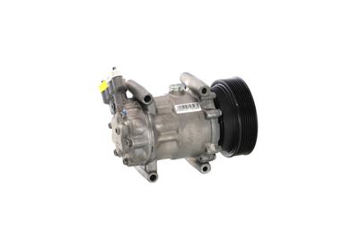 COMPRESOR CLIMATIZARE REMANTE 005001000169R 43