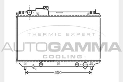 104283 AUTOGAMMA Радиатор, охлаждение двигателя