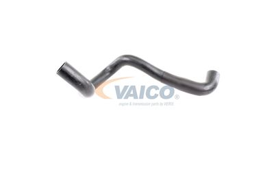 KüHLERSCHLAUCH VAICO V251790 58