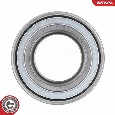 SET RULMENT ROATA ESEN SKV 85SKV067 2