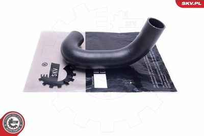 FURTUN EAR SUPRAALIMENTARE