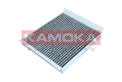 Filter, cabin air F504501