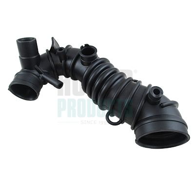 FURTUN EAR SUPRAALIMENTARE