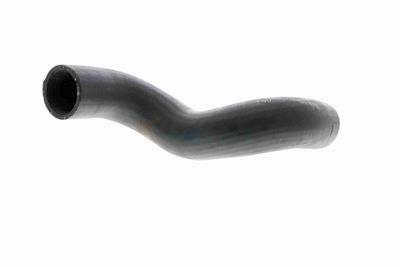 LADELUFTSCHLAUCH VAICO V480065 5