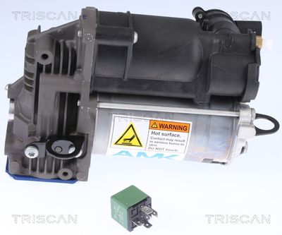 Kompressor, trykluftanlæg TRISCAN 8725 23103