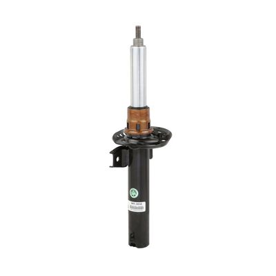 AMORTIZOR Arnott MR3856 6