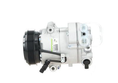 Kompresor klimatizácie BV PSH 090.135.037.040