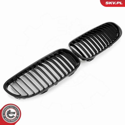 GRILA RADIATOR ESEN SKV 66SKV115 1