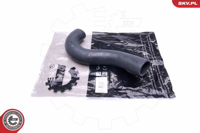 FURTUN EAR SUPRAALIMENTARE