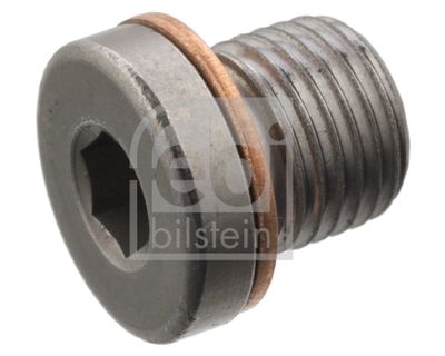 FEBI BILSTEIN Afsluitplug, cilinderkop (101020)