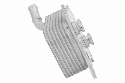 ÖLKüHLER MOTORöL VEMO V15606071 5