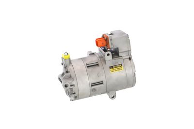 COMPRESOR CLIMATIZARE REMANTE 005001000373R 12