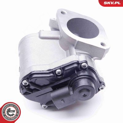 SUPAPA EGR ESEN SKV 14SKV168 2
