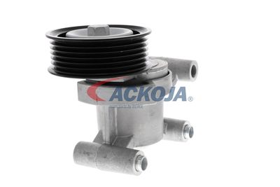 INTINZATOR CUREA CUREA DISTRIBUTIE ACKOJA A320602 52