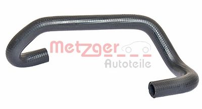 Radiator Hose 2420376