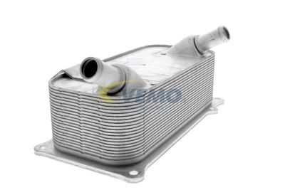 RADIATOR ULEI ULEI MOTOR VEMO V45600006 18