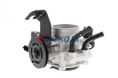 CARCASA CLAPETA ACKOJA A53810003 33