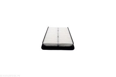 FILTRU AER AUTOMEGA 250052010 3