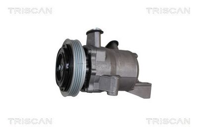 COMPRESOR CLIMATIZARE TRISCAN 902069009 1