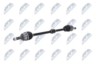 PLANETARA NTY NPWCH062 2