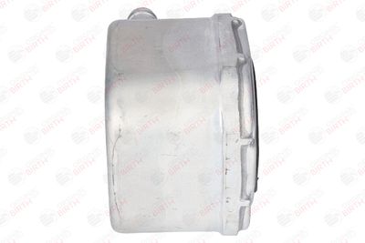RADIATOR ULEI ULEI MOTOR BIRTH 80045 4