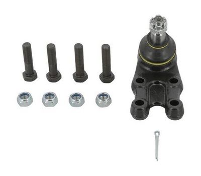 ARTICULATIE SARCINA/GHIDARE