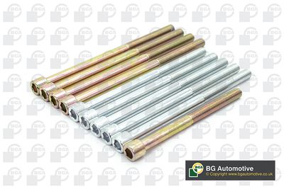 SET SURUB CHIULASA BGA BK4366