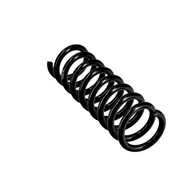 ARC SPIRAL EIBACH R10075 11