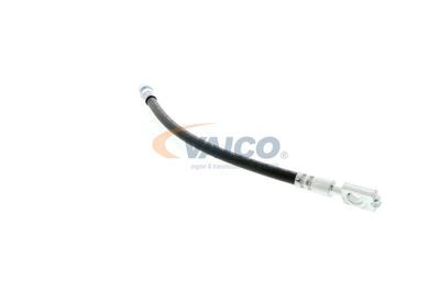 FURTUN FRANA VAICO V104127 42