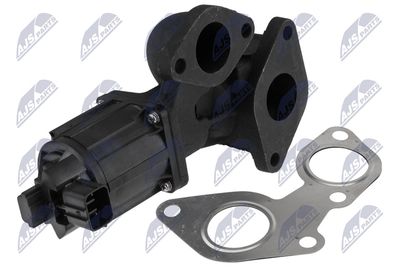 SUPAPA EGR NTY EGRIS001