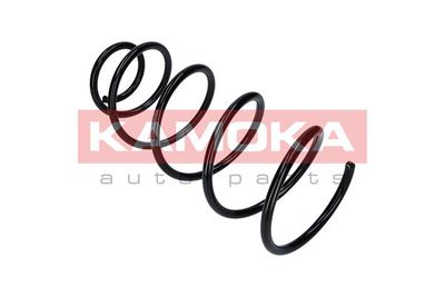 ARC SPIRAL KAMOKA 2110140 1