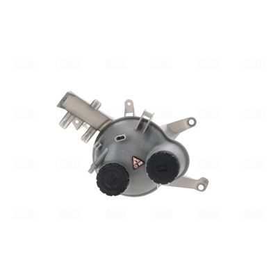 VAS DE EXPANSIUNE RACIRE