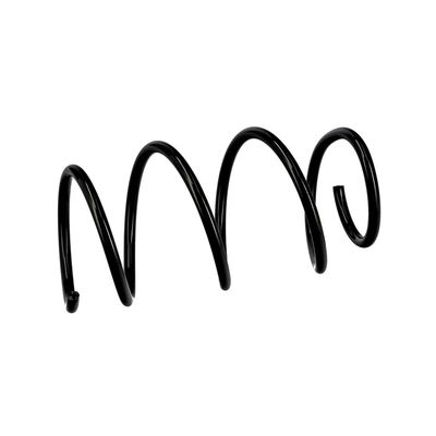 ARC SPIRAL EIBACH R10129 18