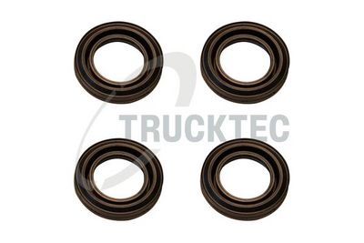 GARNITURA CAPAC SUPAPE