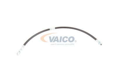 FURTUN FRANA VAICO V103077 59