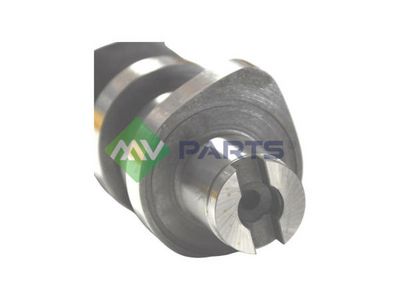 AX CU CAME MV Parts MVK3003S 1