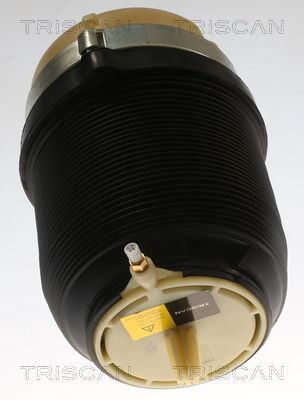 ARC PNEUMATIC DIRECTIE TRISCAN 872029202 1