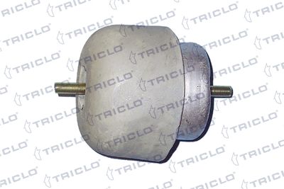 окачване, двигател TRICLO 363905