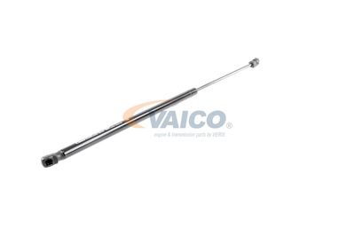 GASFEDER KOFFER-/LADERAUM VAICO V401099 55
