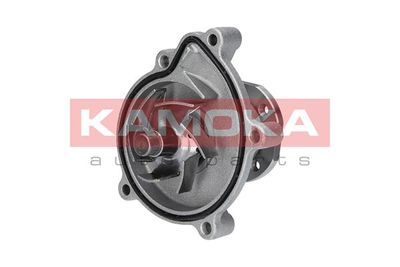 Water Pump, engine cooling T0182