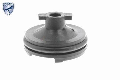 VERSCHLUSSSCHRAUBE ÖLWANNE VAICO V251116 5