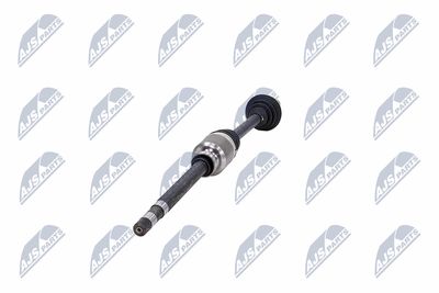 PLANETARA NTY NPWCT181 35