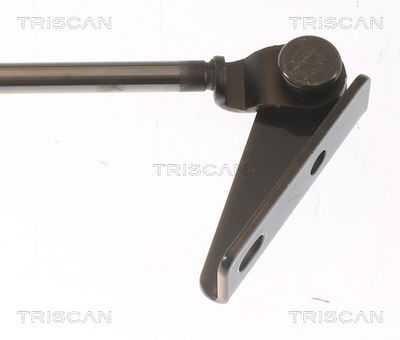 Amortizor portbagaj TRISCAN 8710 43204
