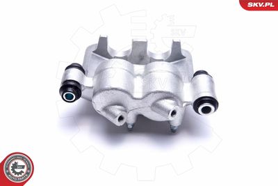 Brake Caliper 55SKV151