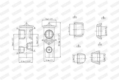 SUPAPA EXPANSIUNE CLIMA WALKER WEX00000 6