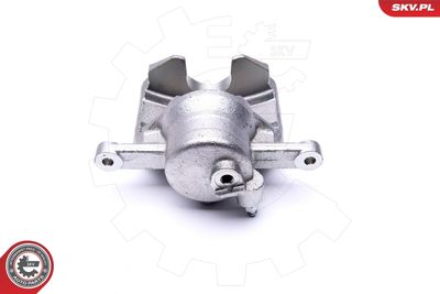 Brake Caliper 46SKV971